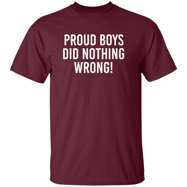 Proud Boys Dids Nothing Wrong Shirt Proud Boys Dids Nothing Wrong Shirt - Image 2