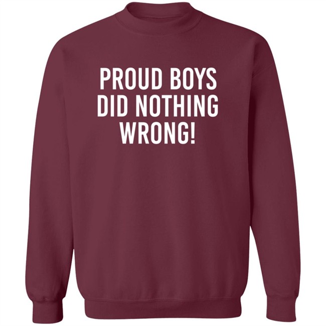 Proud Boys Dids Nothing Wrong Shirt Proud Boys Dids Nothing Wrong Shirt - Image 16